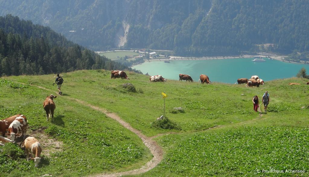 Privathaus Achensee 阿亨基希 客房 照片