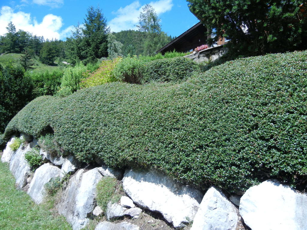 Privathaus Achensee 阿亨基希 客房 照片
